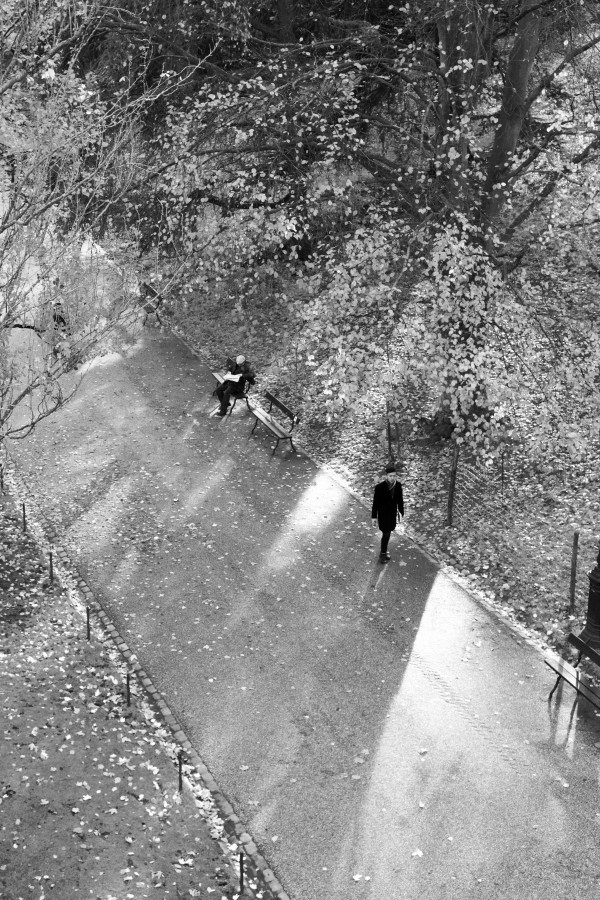 Winter Shadows Buttes Chaumont by Bill Osuch